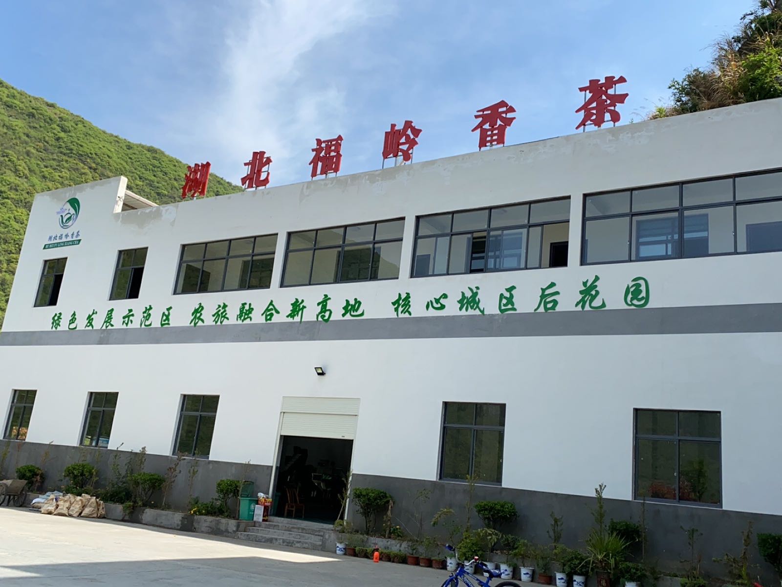 湖北福岭香茶