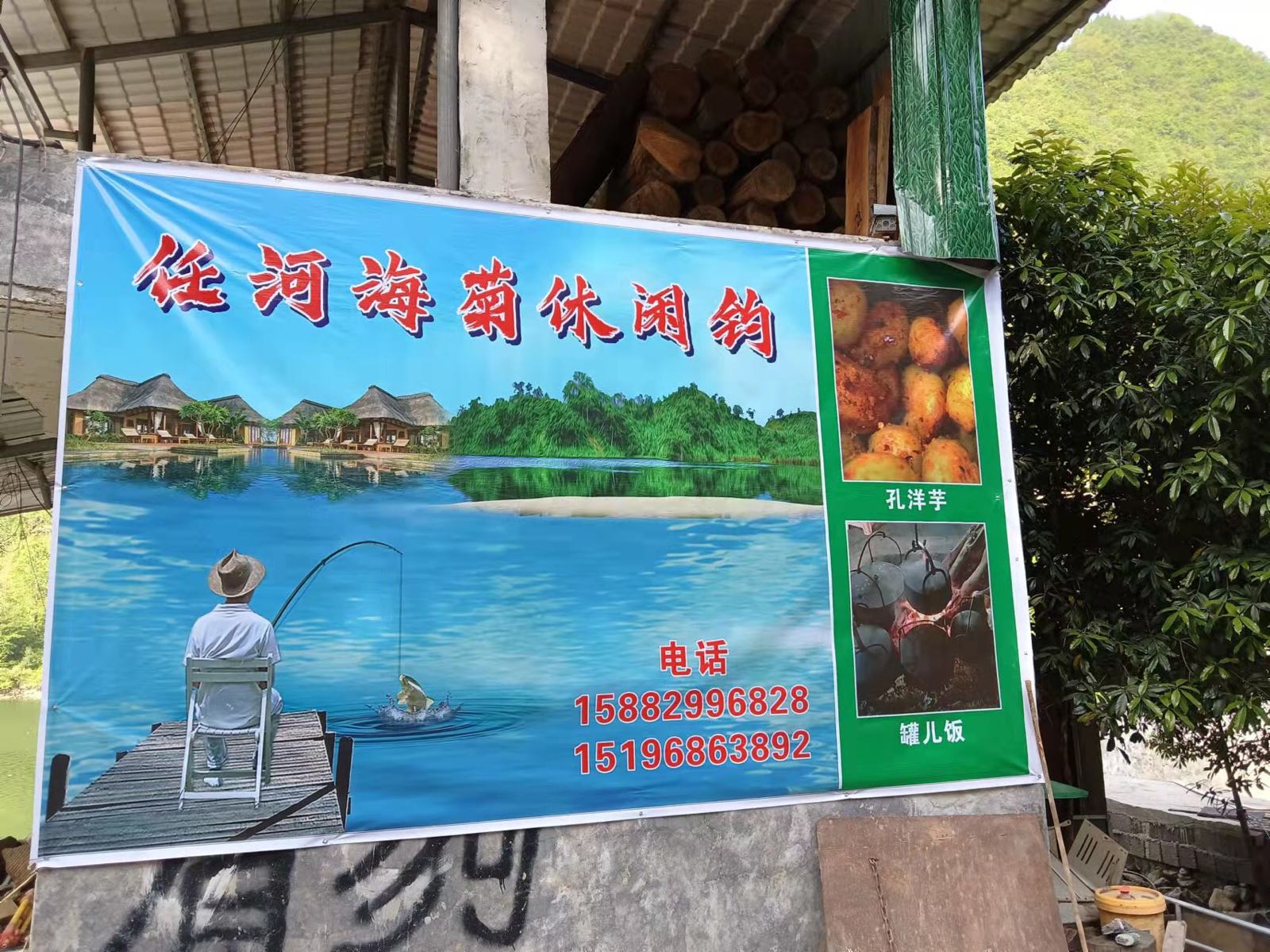 任河海菊休闲钓