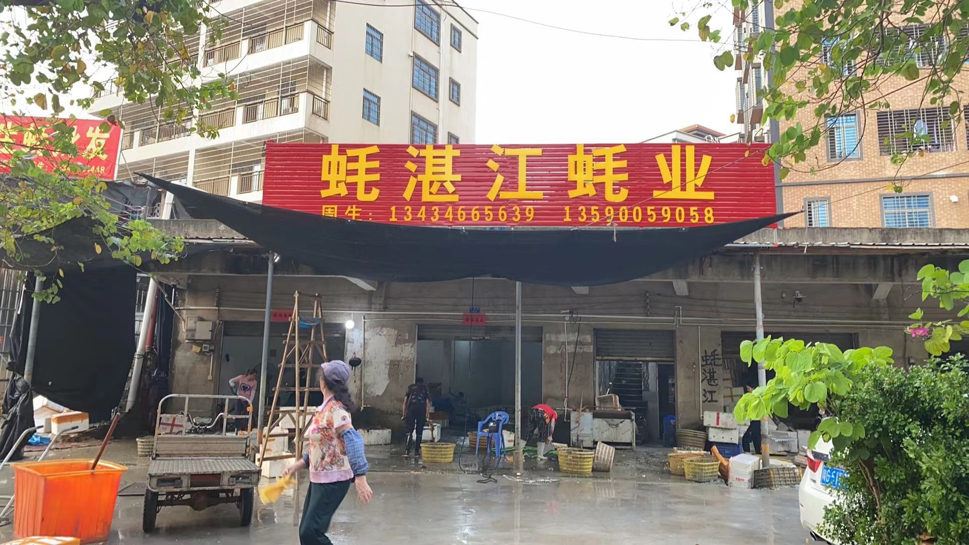 蚝湛江蚝业