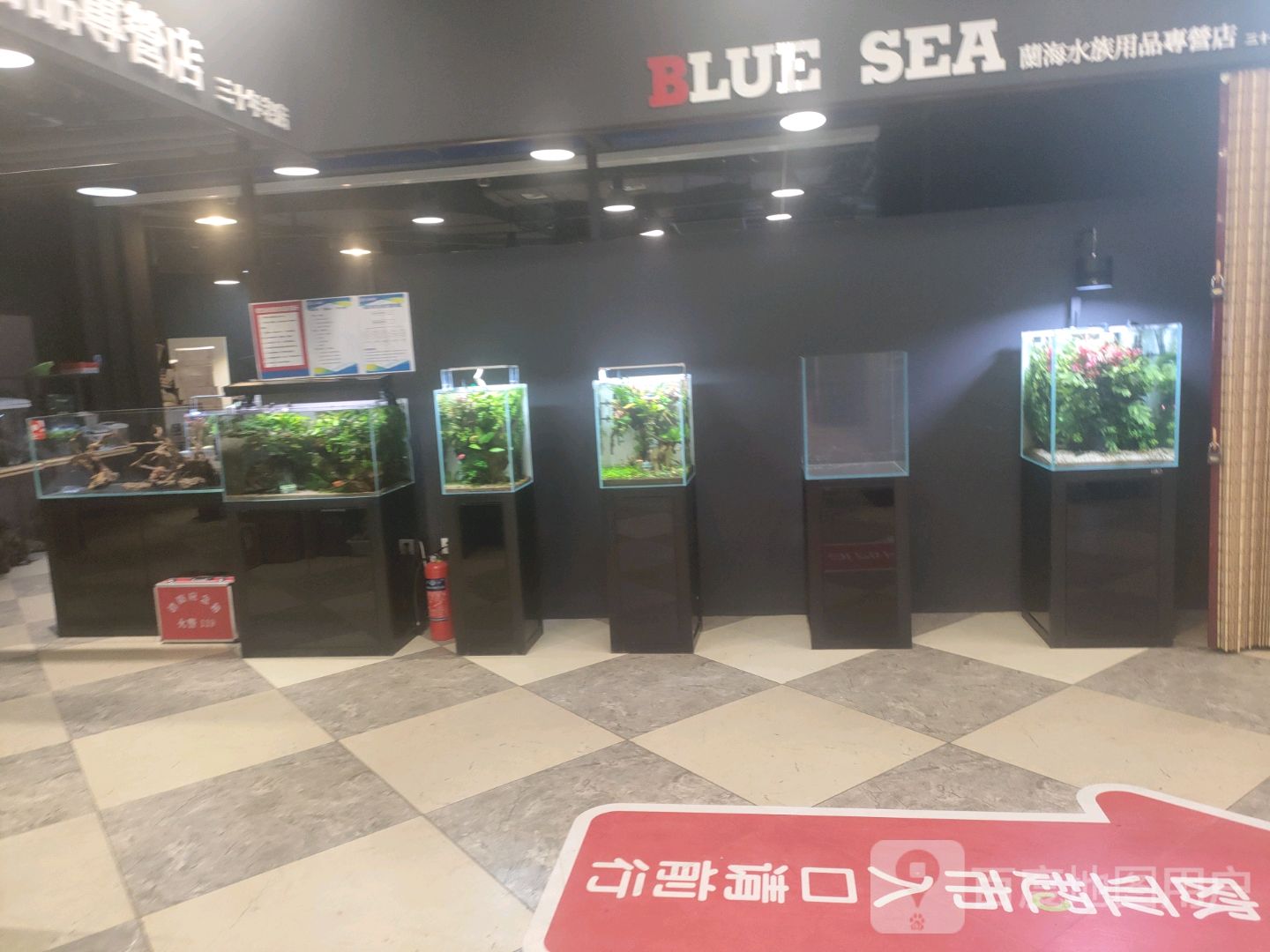 兰海水族用品专营店(腾阳·七彩天地泰来街店)