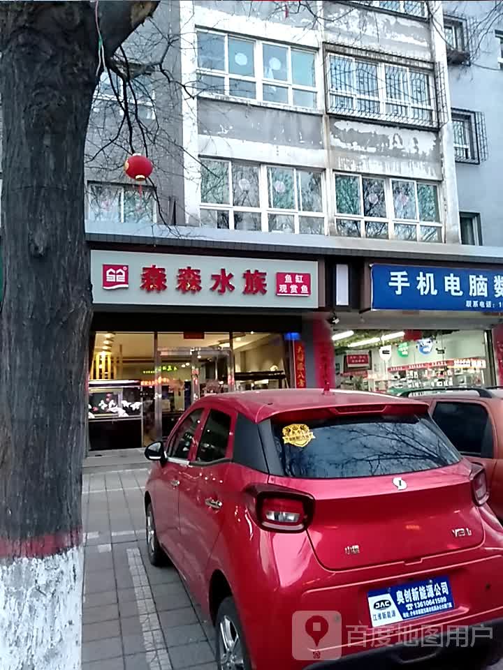 森森水族(东大街店)