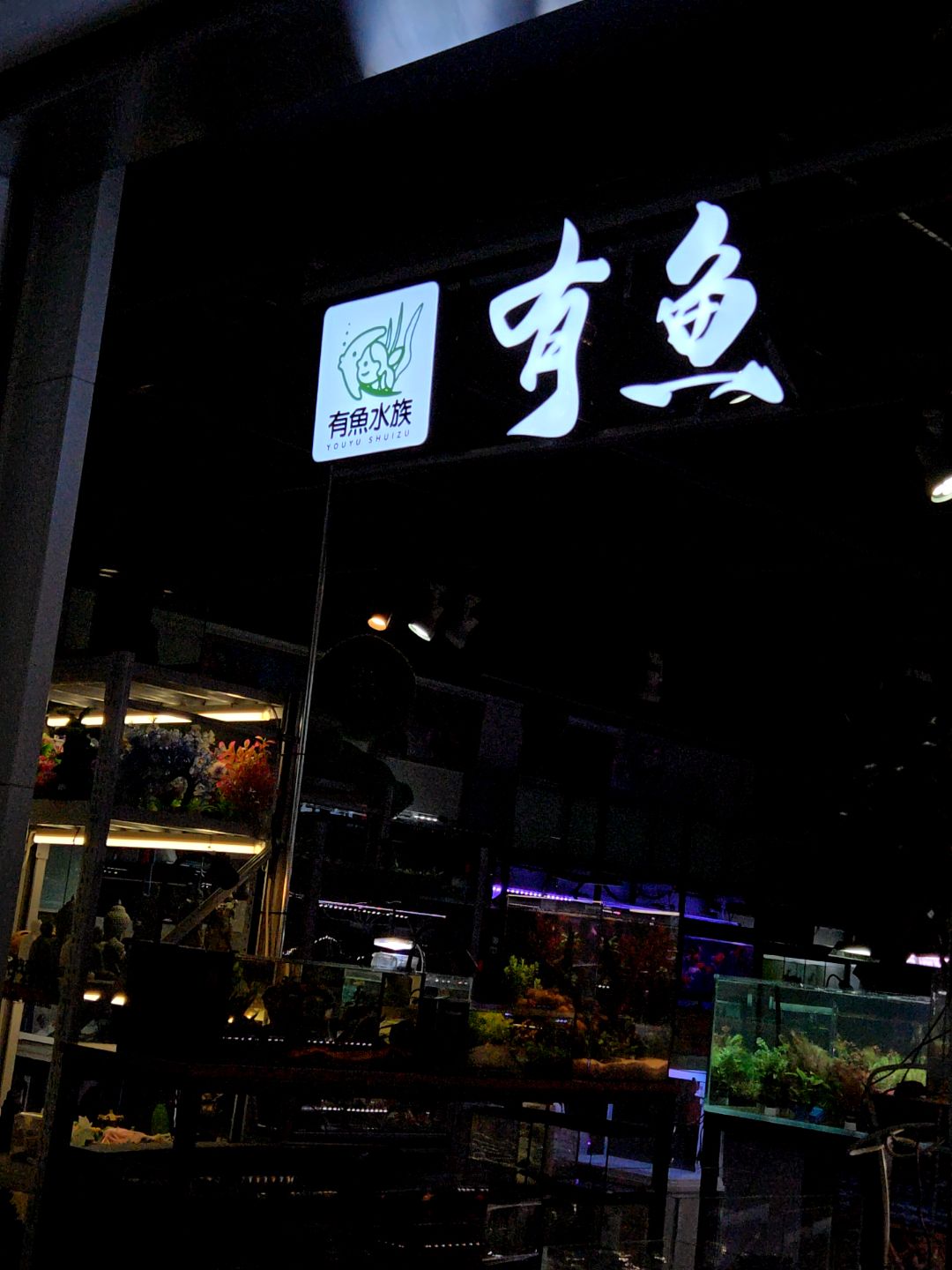 有鱼水族(二道区中东大市场店)