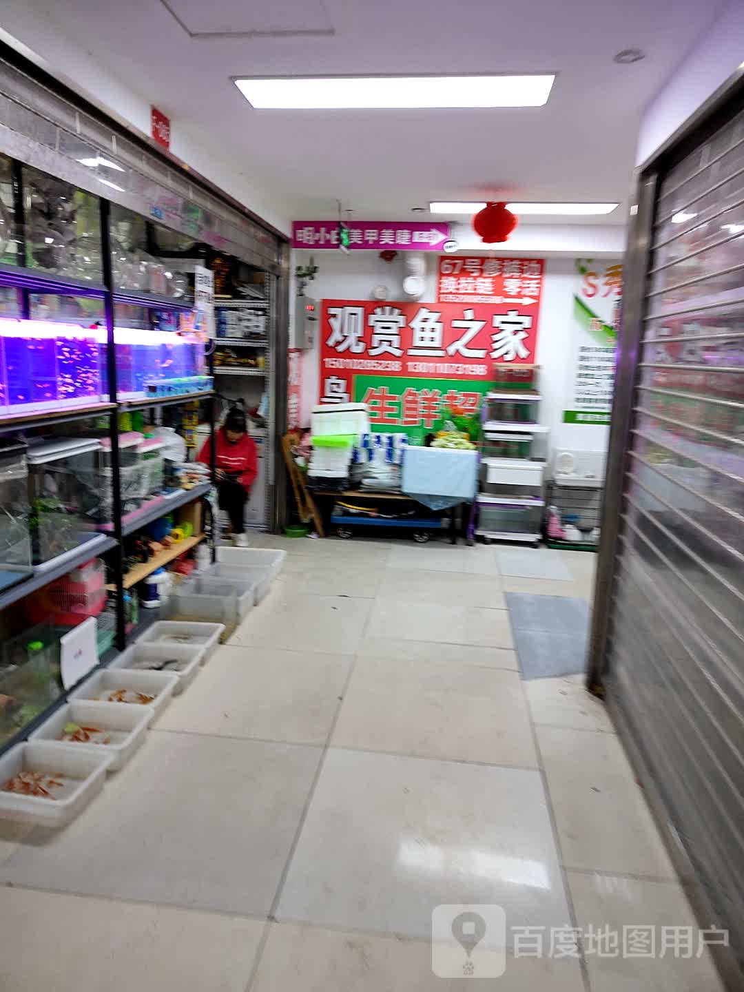 观赏鱼之家(国泰百货天通苑店)