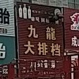 九龙大排挡(振兴北路店)