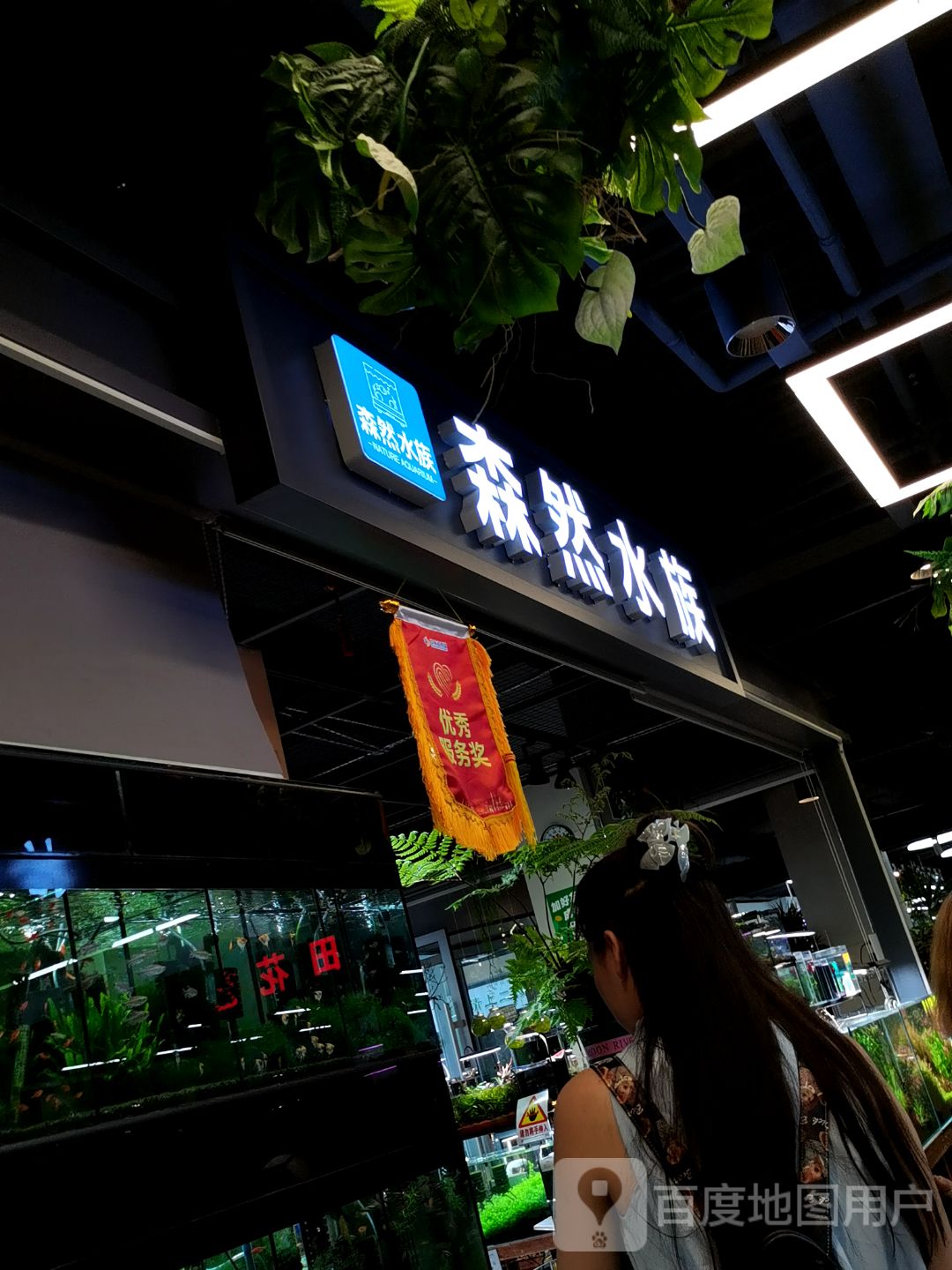 森然水族