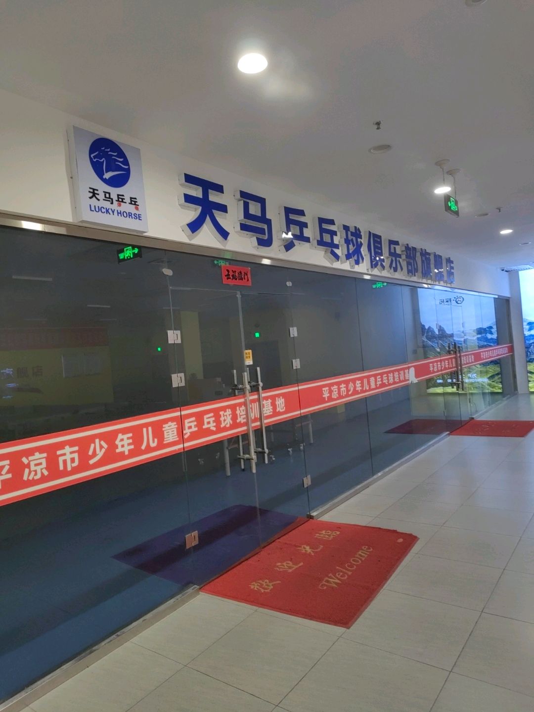 天马乒乓球俱乐部旗舰店(金润国际购物中心店)