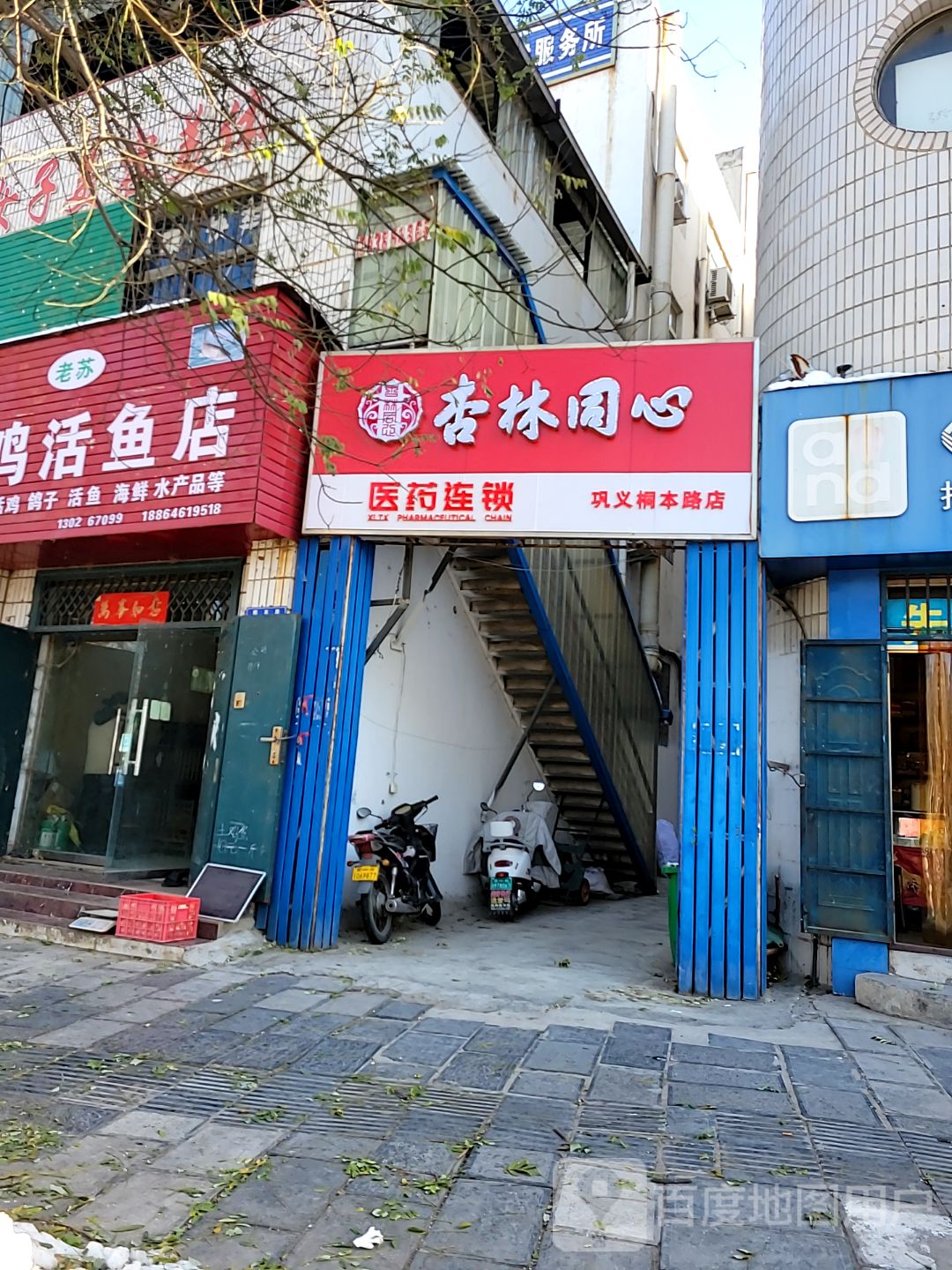 巩义市老苏鲜鸡活鱼店