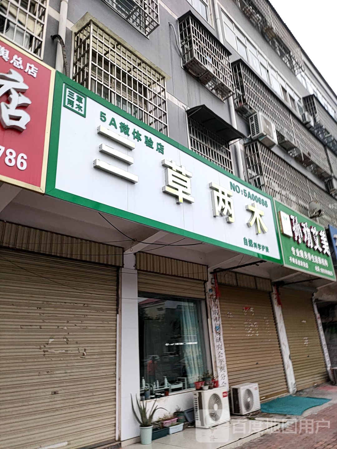 平舆县三草两木(建设街店)