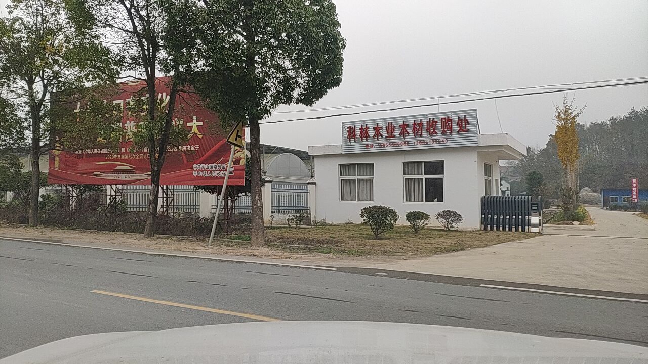 科林木业木材收购处