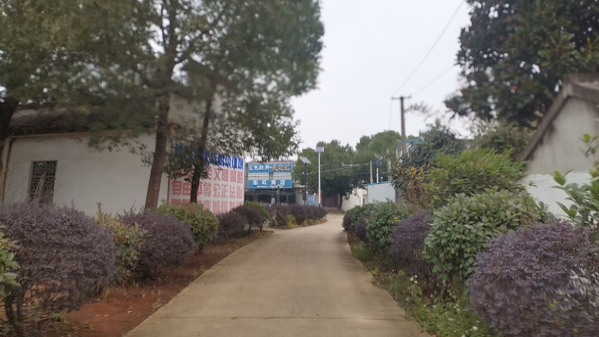 志红商店