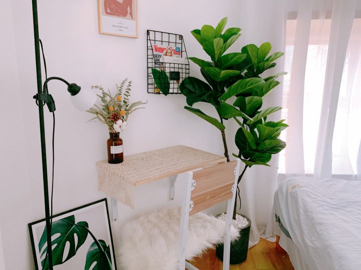 深圳One Piece主题青年旅舍(会展中心店)