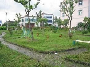 南洋镇农民公园