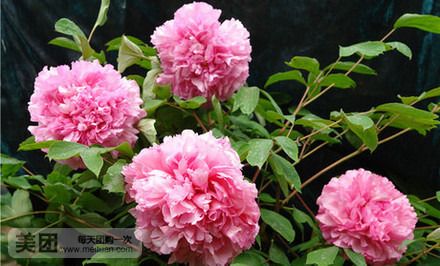 丹景山风景名胜区