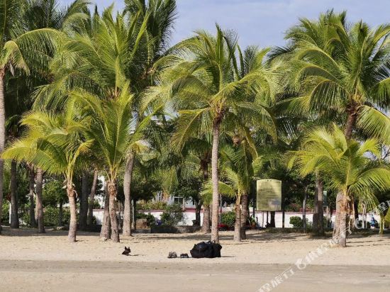 海螺公寓(海韵大道分店)