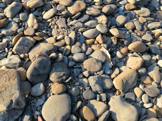 偷懒的猫公寓(一环北路1号分店)