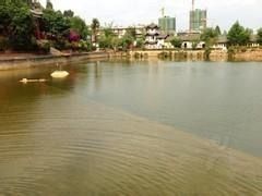 三碗水湖生态园