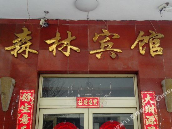 森林宾馆(白山大街店)
