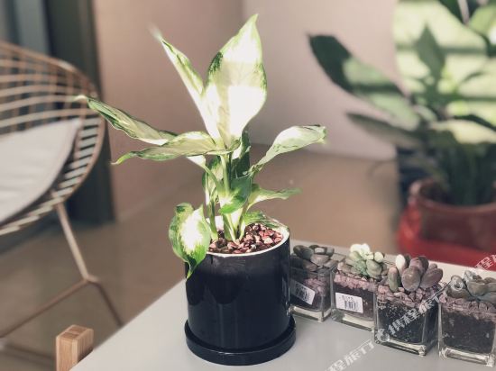 壹间晓筑公寓(南光商业街分店)