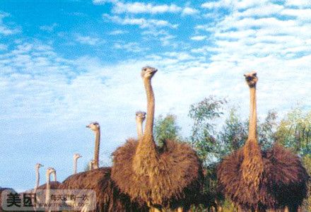 海南热带野生动植物园
