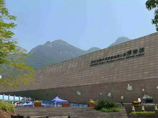 深圳趣海边客栈