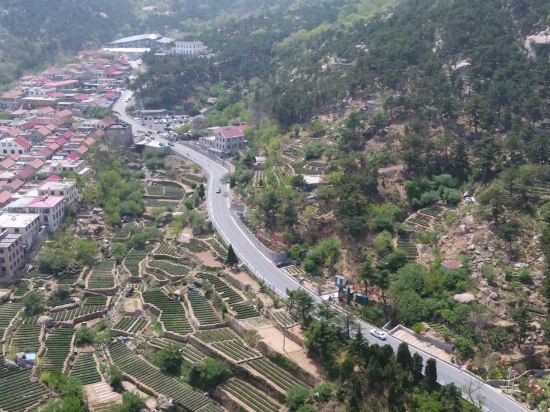 崂山合院特色民宿