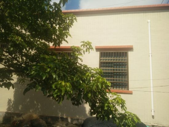 湛江硇洲岛如故里(点击头像查看更多房源)特色民宿