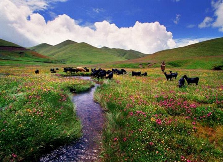 佳源宾馆(沾益区旅游局东南)