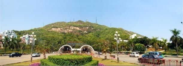 板樟山森林公园