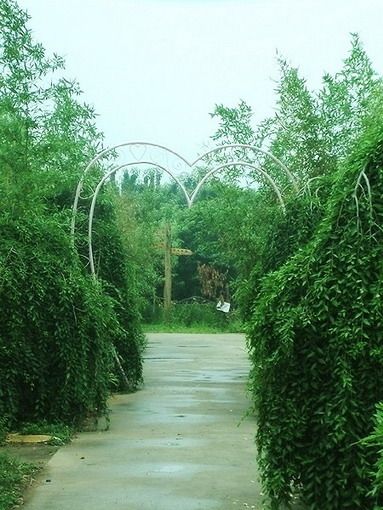 中原绿色庄园景区