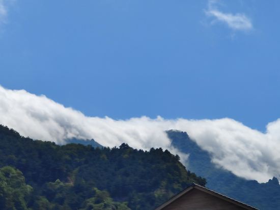 保定闫卫星特色民宿