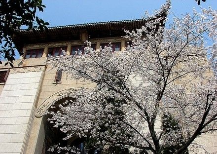 武汉大学-樱花城堡