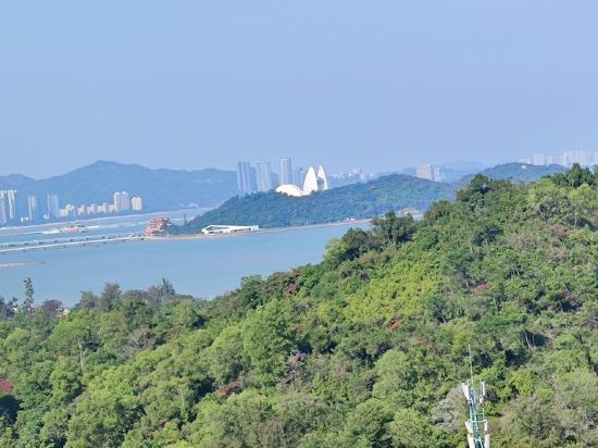 oneday爱豆的家民宿(海滨南路分店)