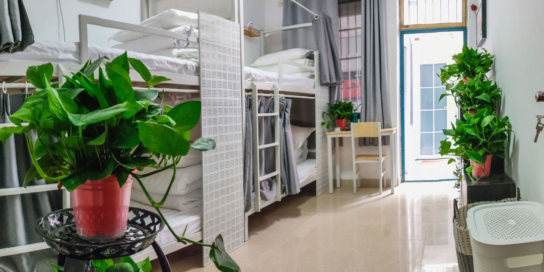 三只猫青年旅社(明教寺店)