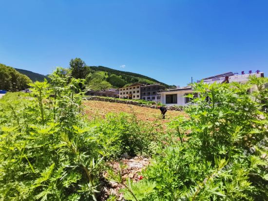 一苇草堂客栈(忻州五台山景区店)