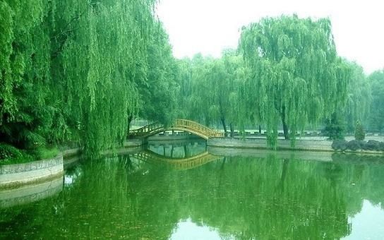 中原绿色庄园景区