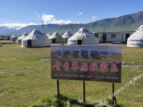 和静青青草原牧家乐
