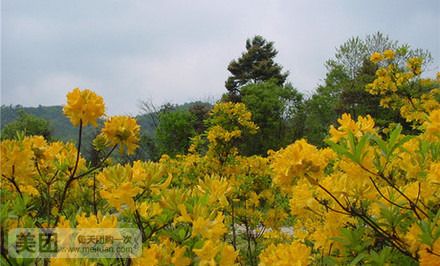 丹景山风景名胜区