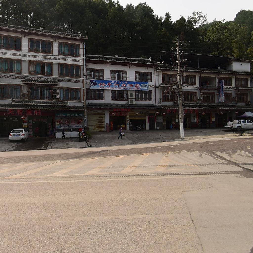 杨平鱼店
